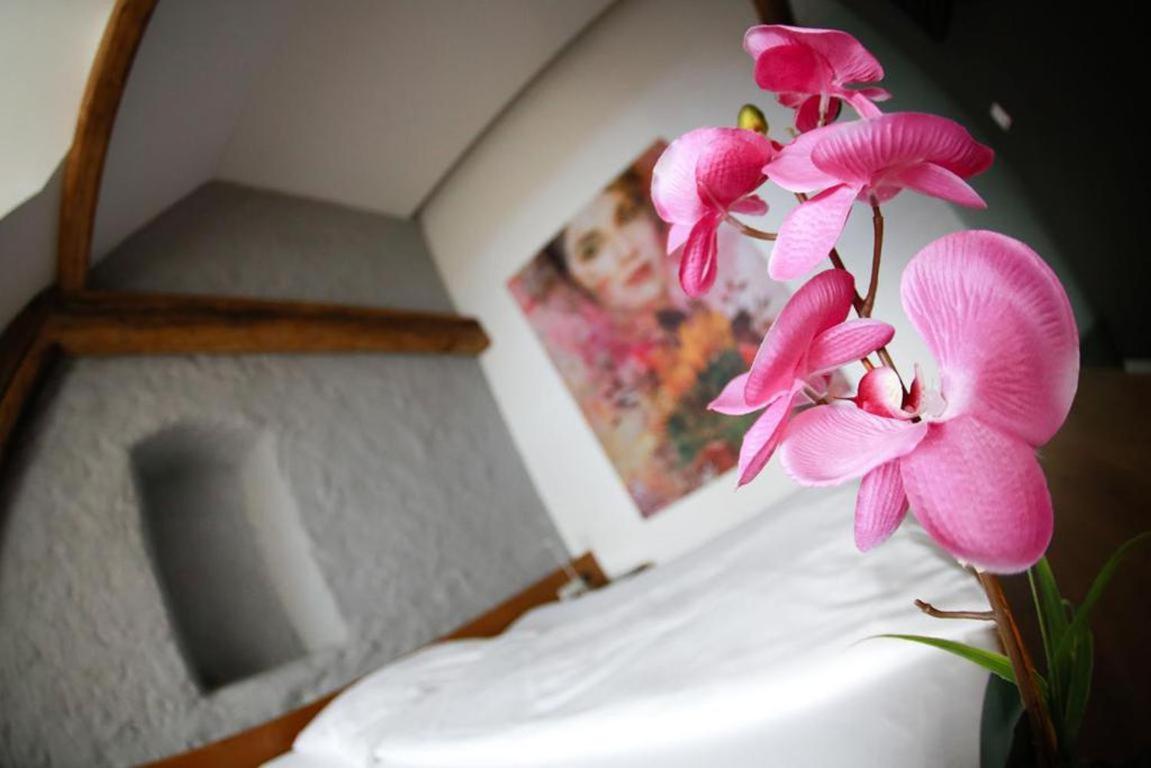 Appartement-Hotel Gh Zum Goldenen Schiff Enns Εξωτερικό φωτογραφία